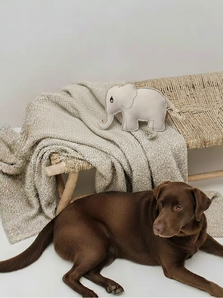 BUDDY. Leather Dog Toy "Elephant" - natural dog toy available online from BUDDY. dog accessories