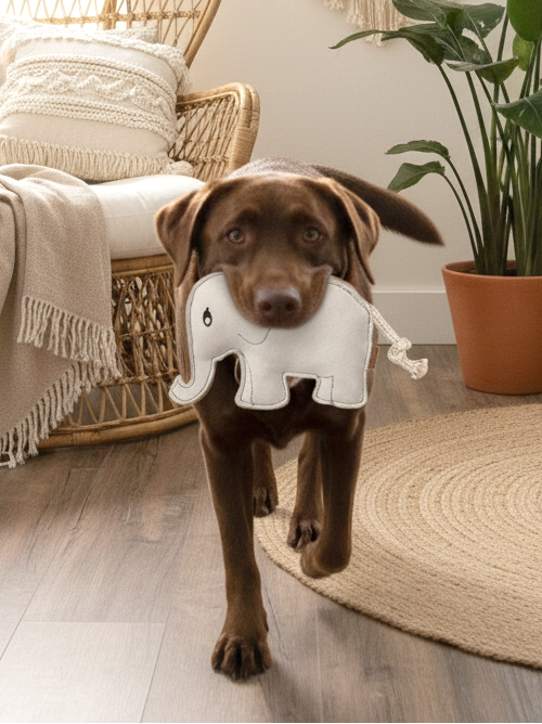 BUDDY. Leather Dog Toy "Elephant" - natural dog toy available online from BUDDY. dog accessories