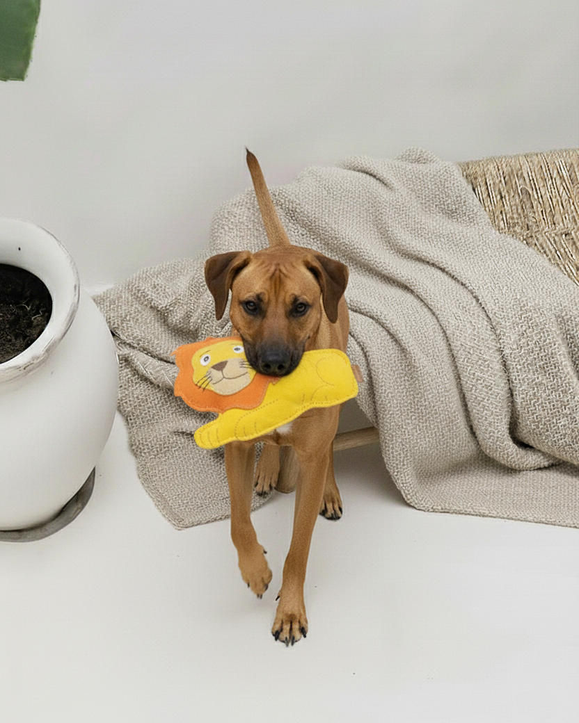 BUDDY. Leather Dog Toy "Lion" - natural dog toy available online from BUDDY. dog accessories