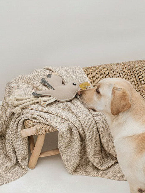 BUDDY. Leather Dog Toy "Seagull" - natural dog toy available online from BUDDY. dog accessories