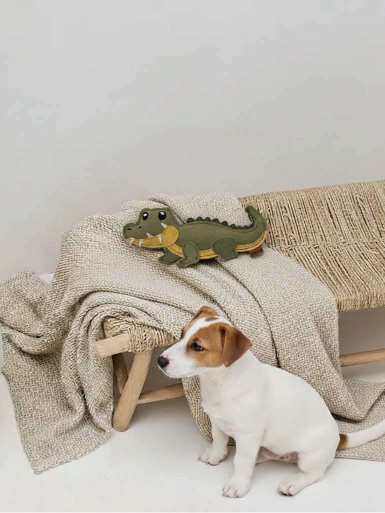 BUDDY. Leather Dog Toy "Small Crocodile" - natural dog toy available online from BUDDY. dog accessories