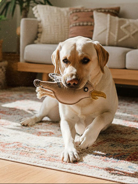 BUDDY. Leather Dog Toy "Seagull" - natural dog toy available online from BUDDY. dog accessories