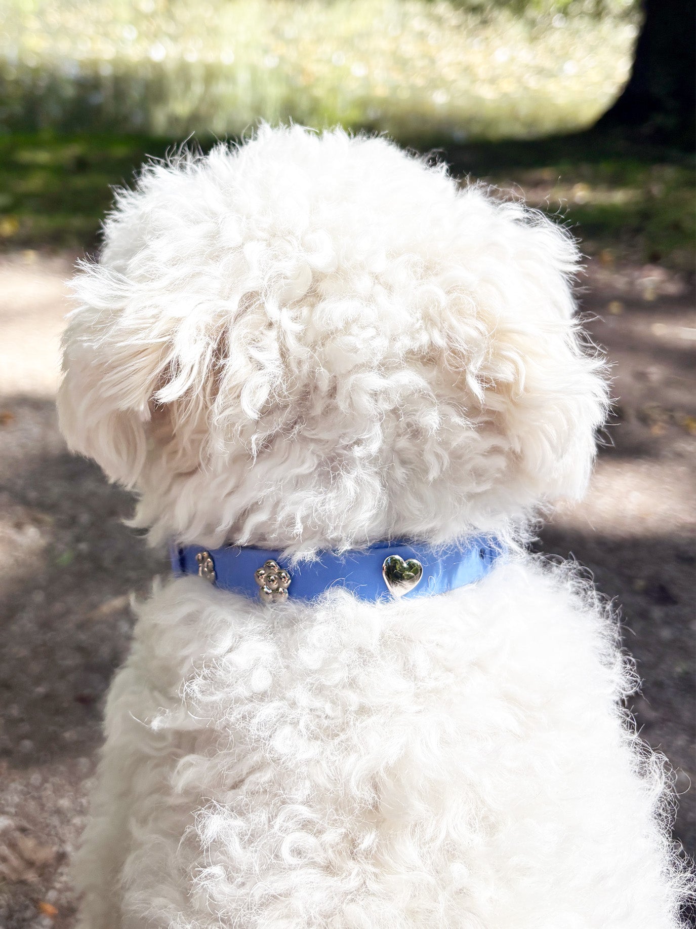 Silver Heart Dog Collar Charm