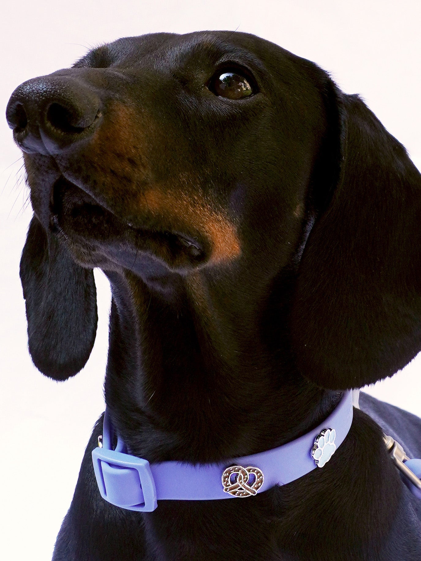 Pretzel Dog Collar Charm