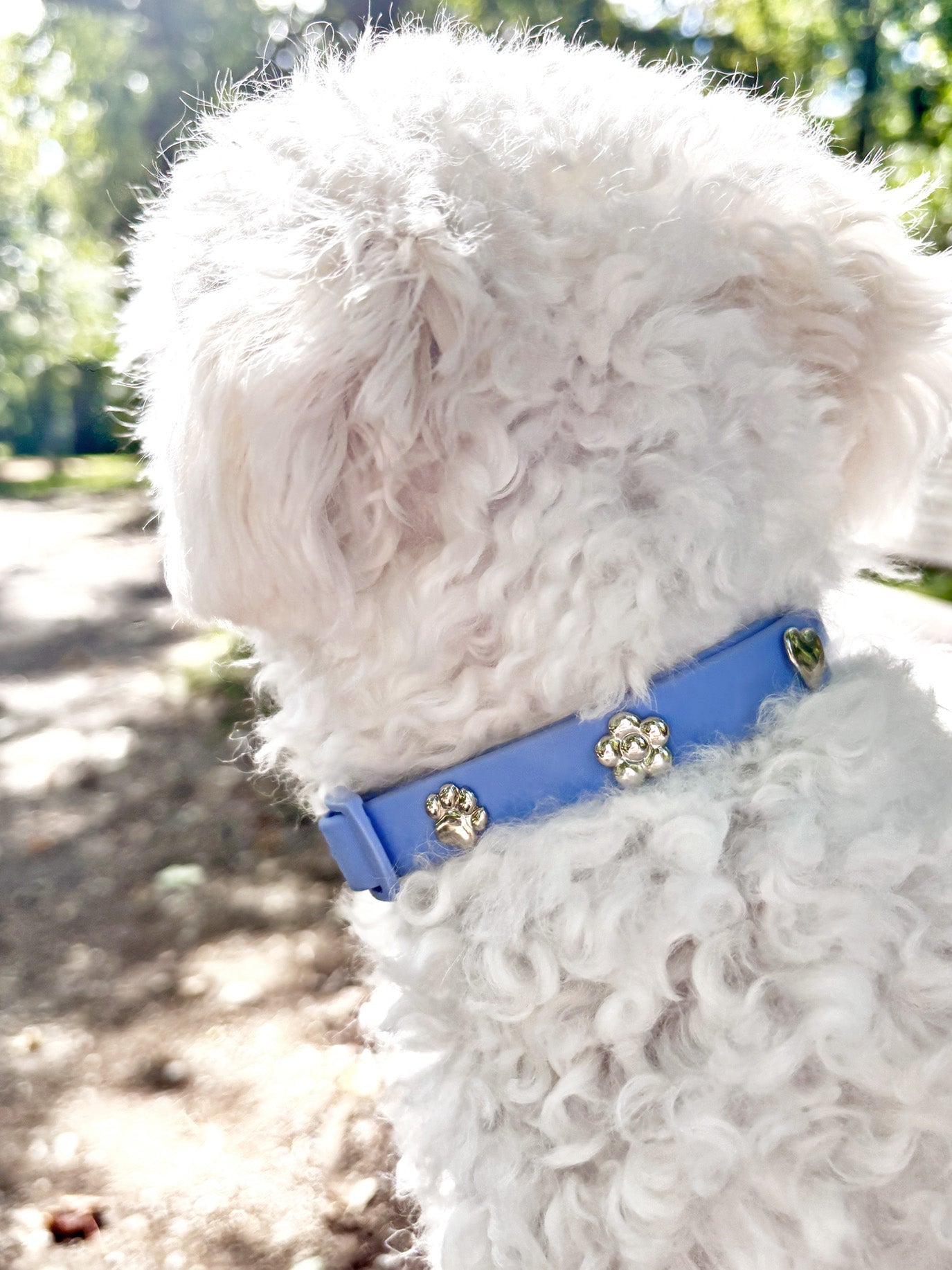 Silver Paw Dog Collar Charm