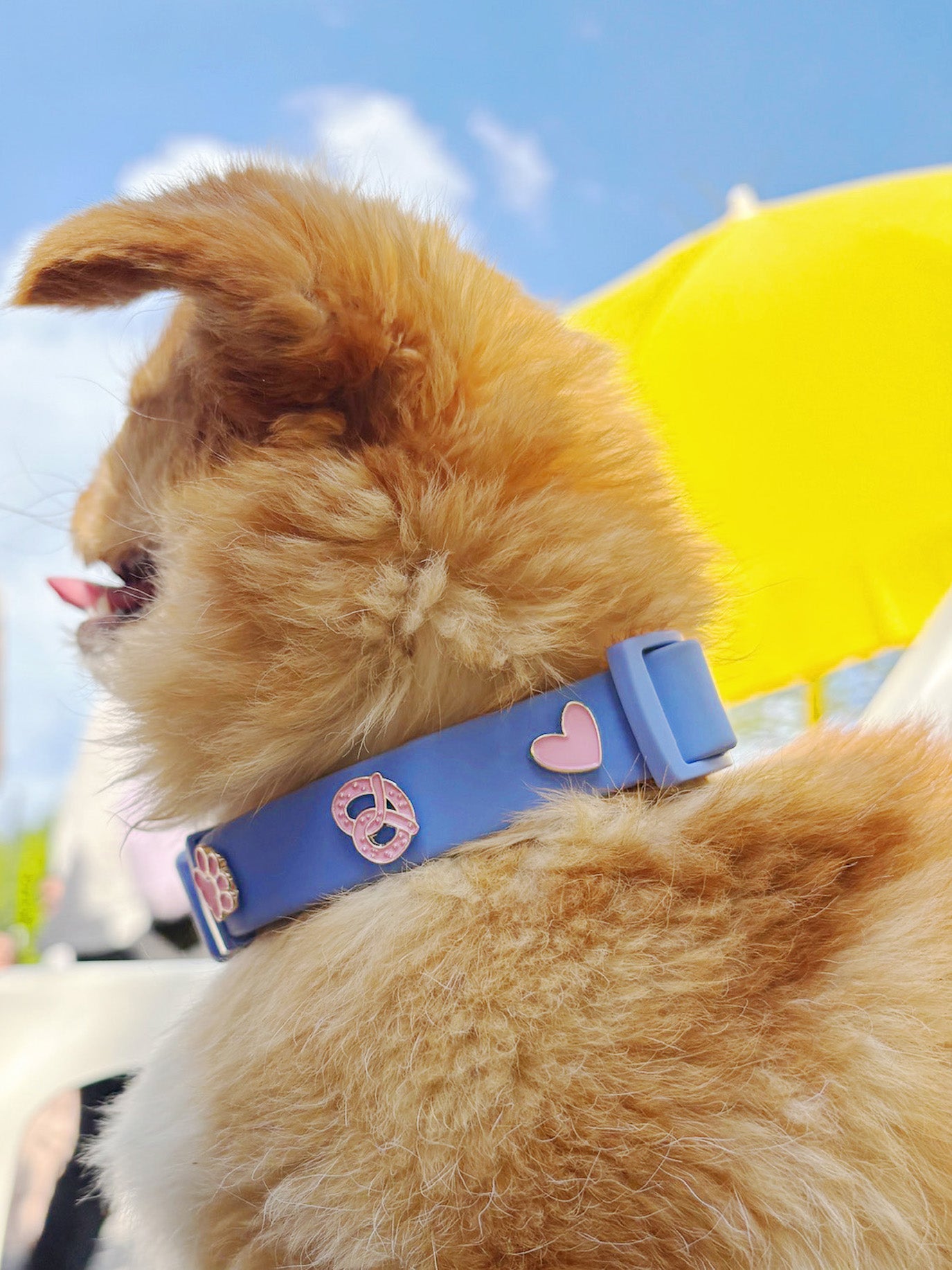 Heart Dog Collar Charm