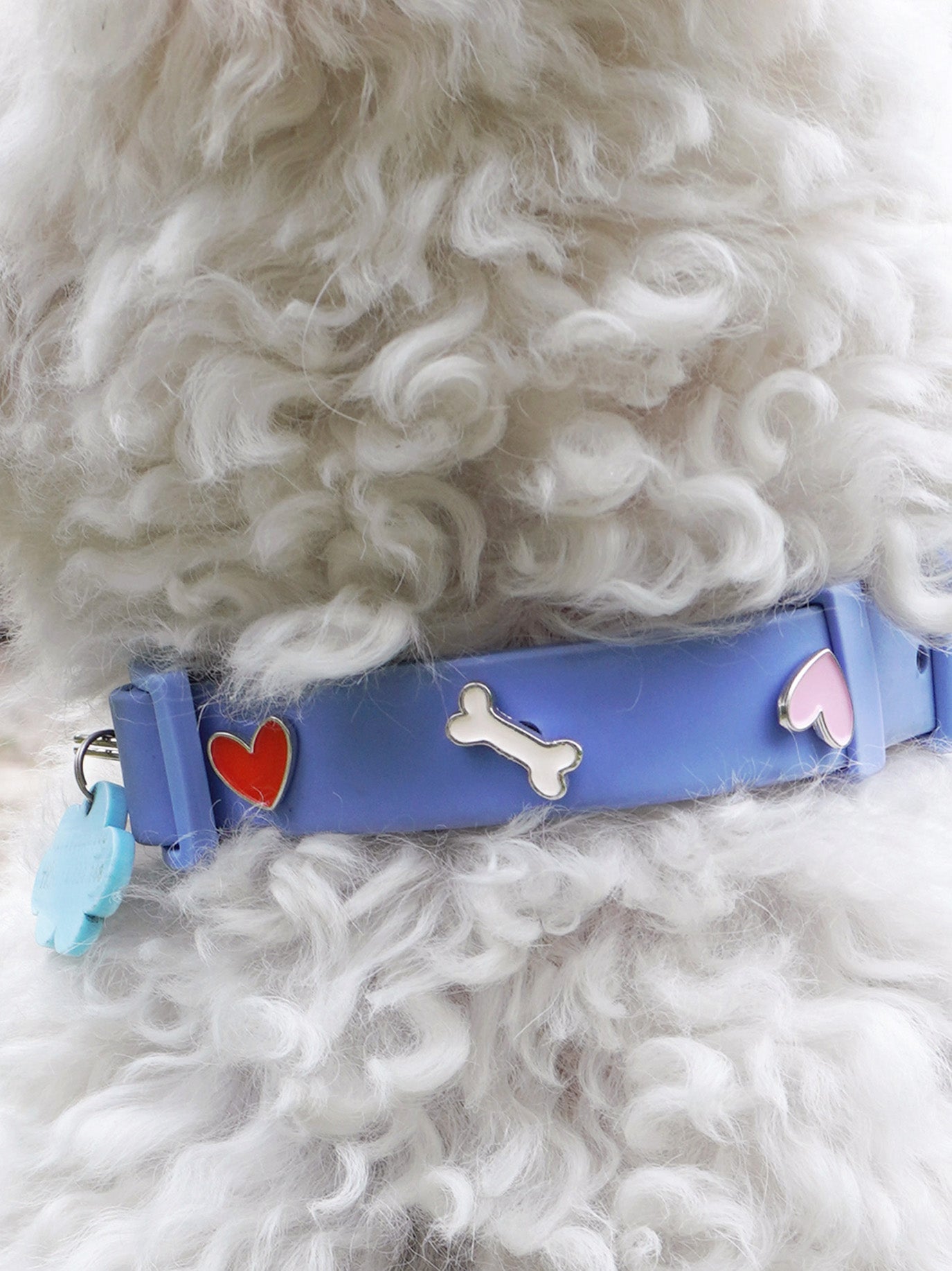 Heart Dog Collar Charm