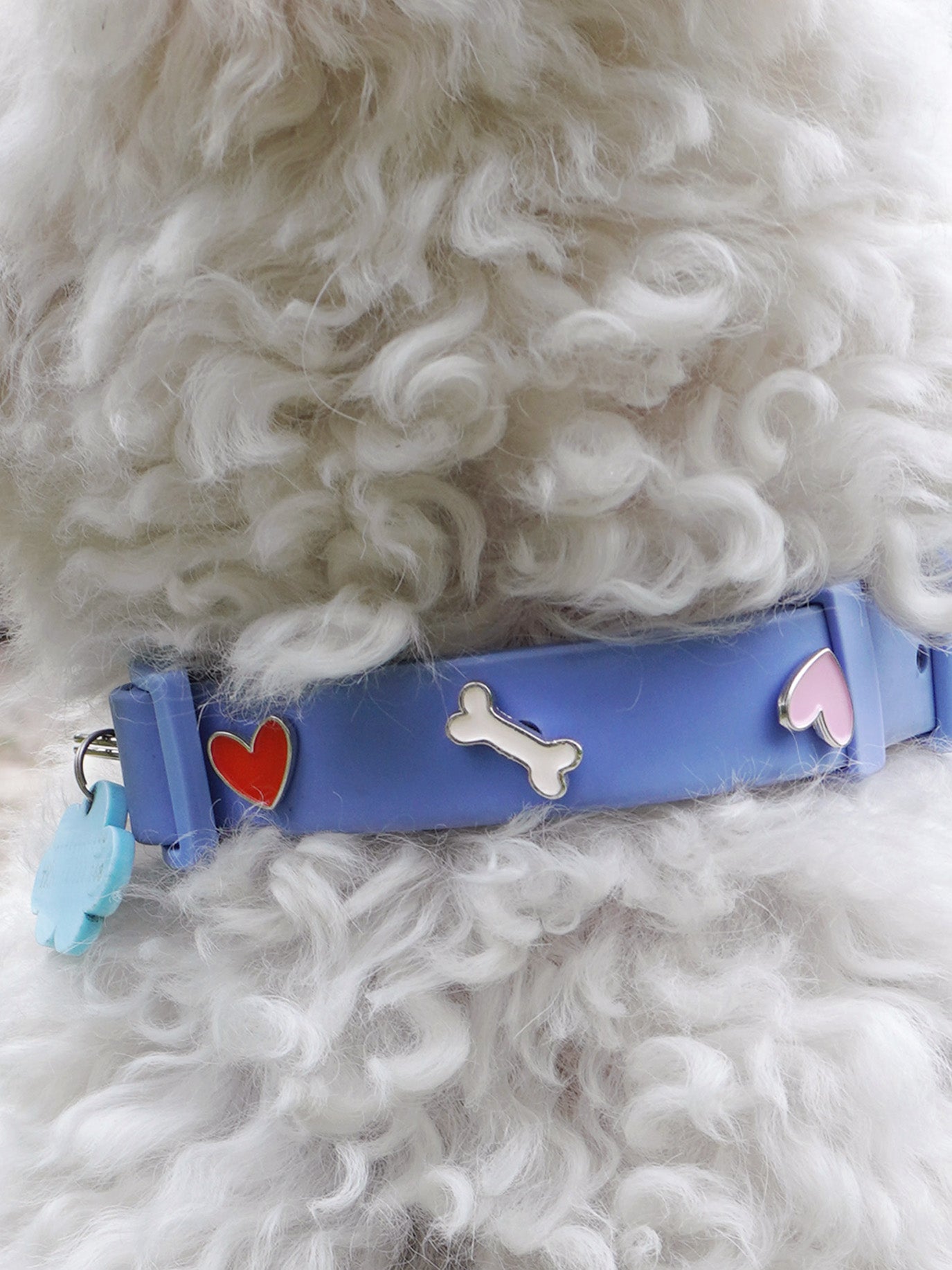 Bone Dog Collar Charm