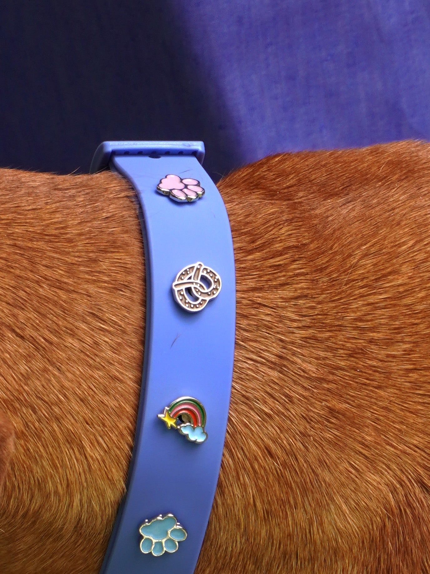 Paw Dog Collar Charm
