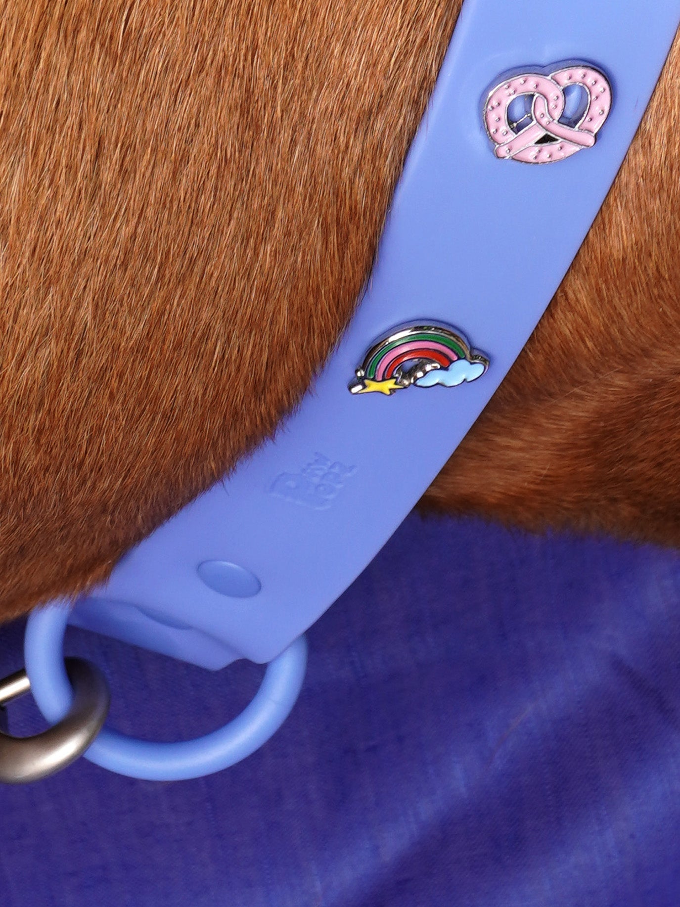 Pretzel Dog Collar Charm