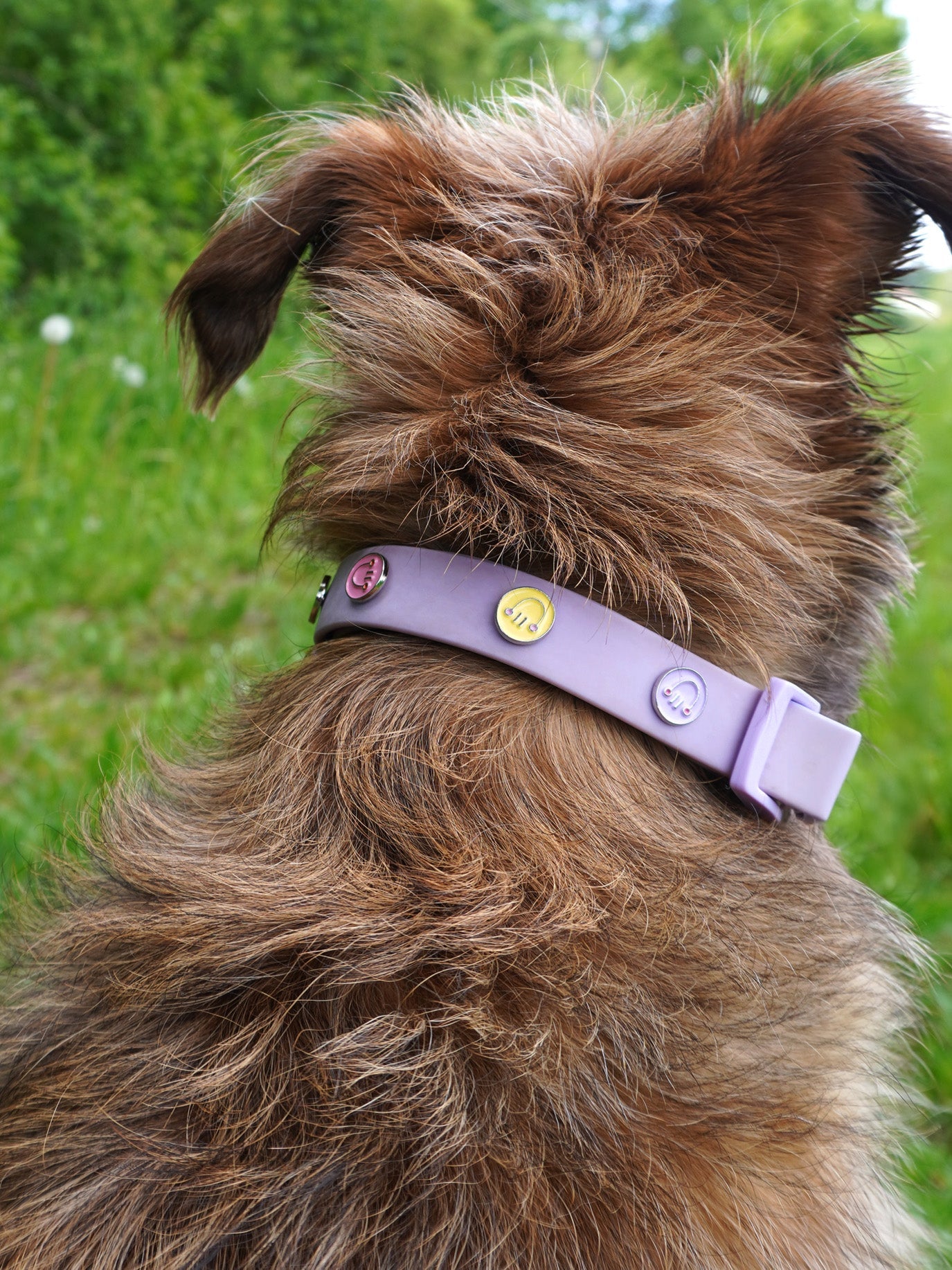 Happy Face Dog Collar Charm