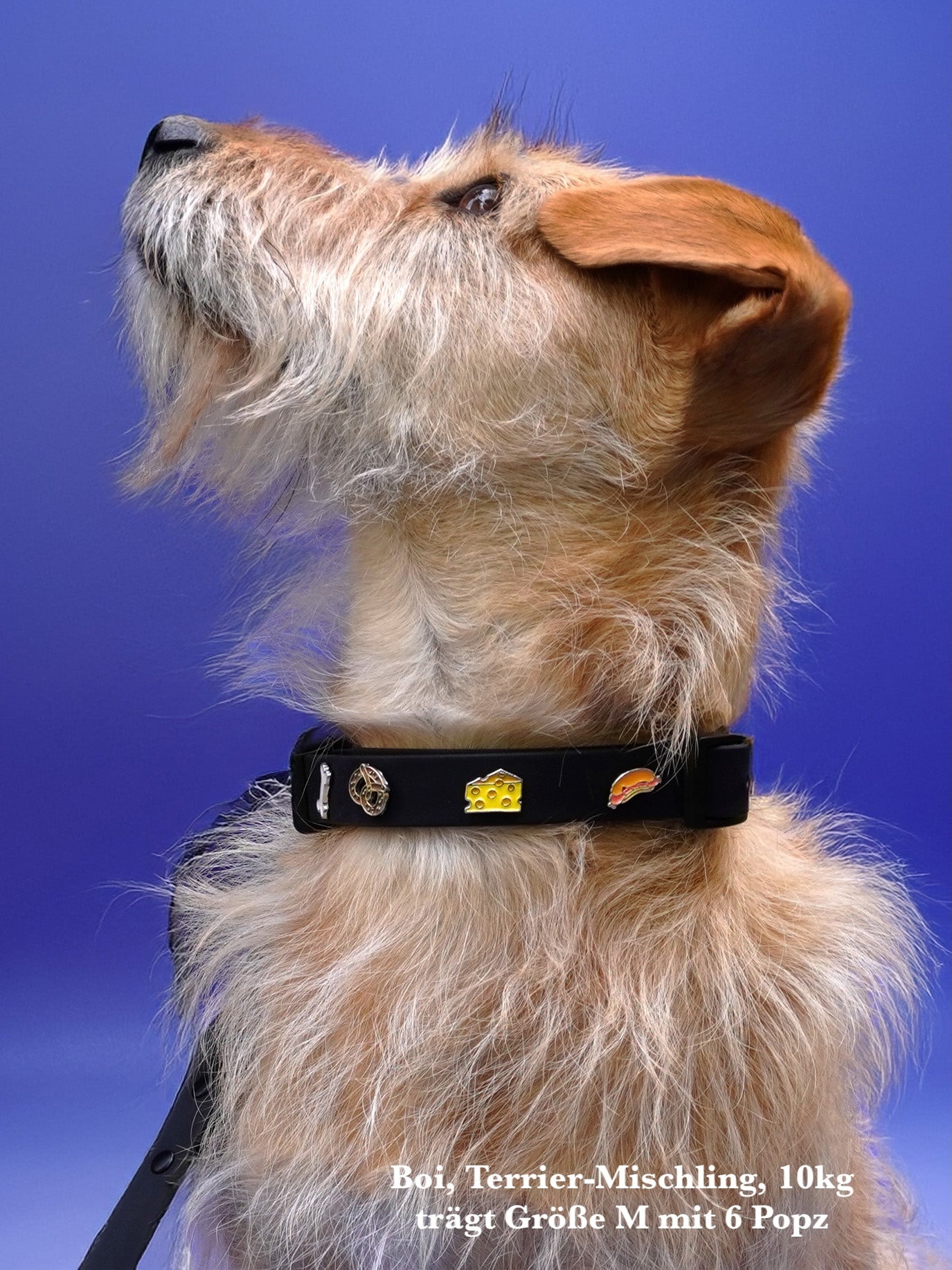 Waterproof Outdoor Dog Collar