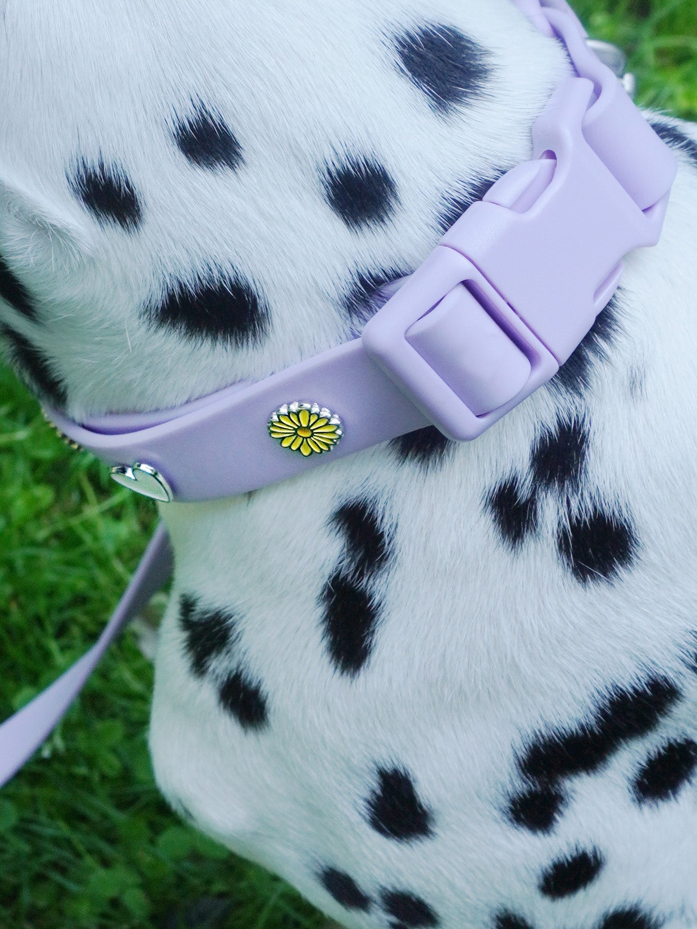 Flower Dog Collar Charm