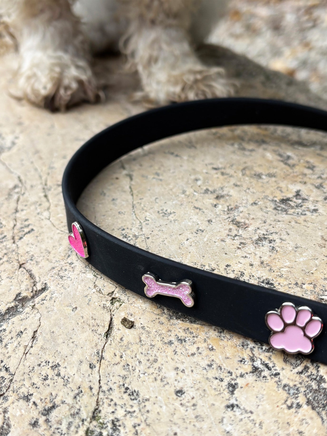 Glitter Bone Dog Collar Charm