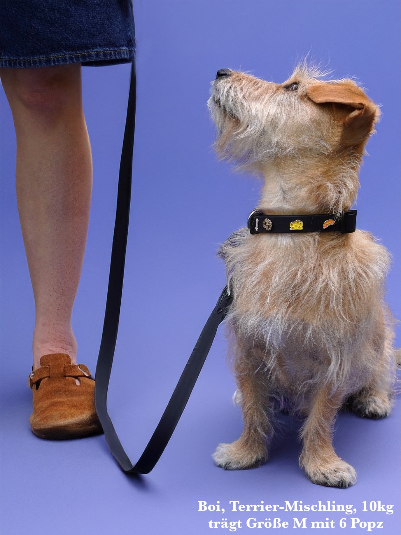 PawPopz Waterproof Outdoor Dog Leash