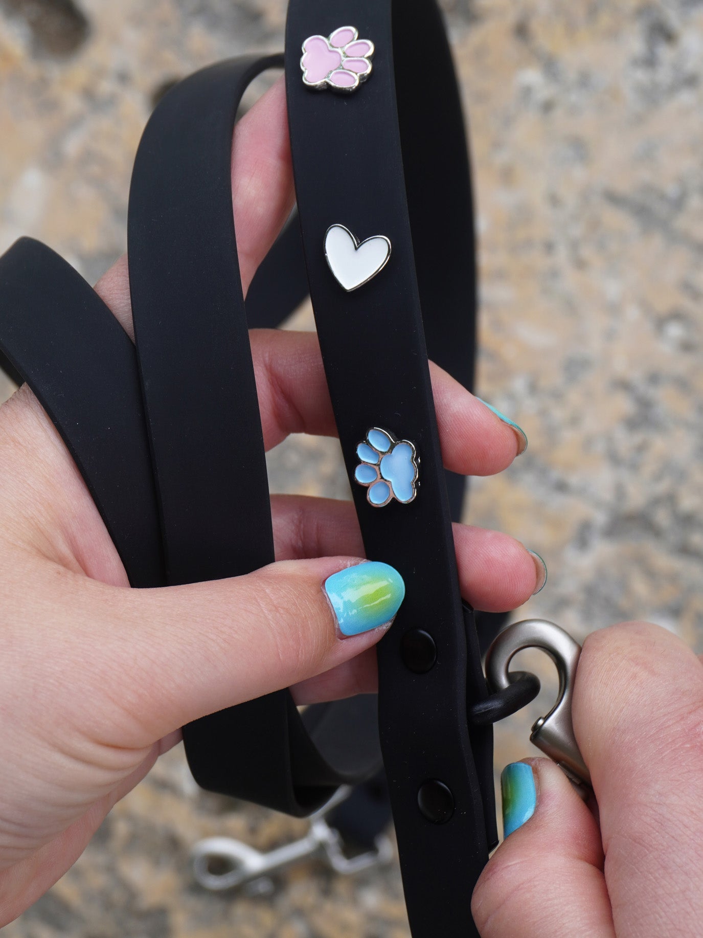 PawPopz Waterproof Outdoor Dog Leash
