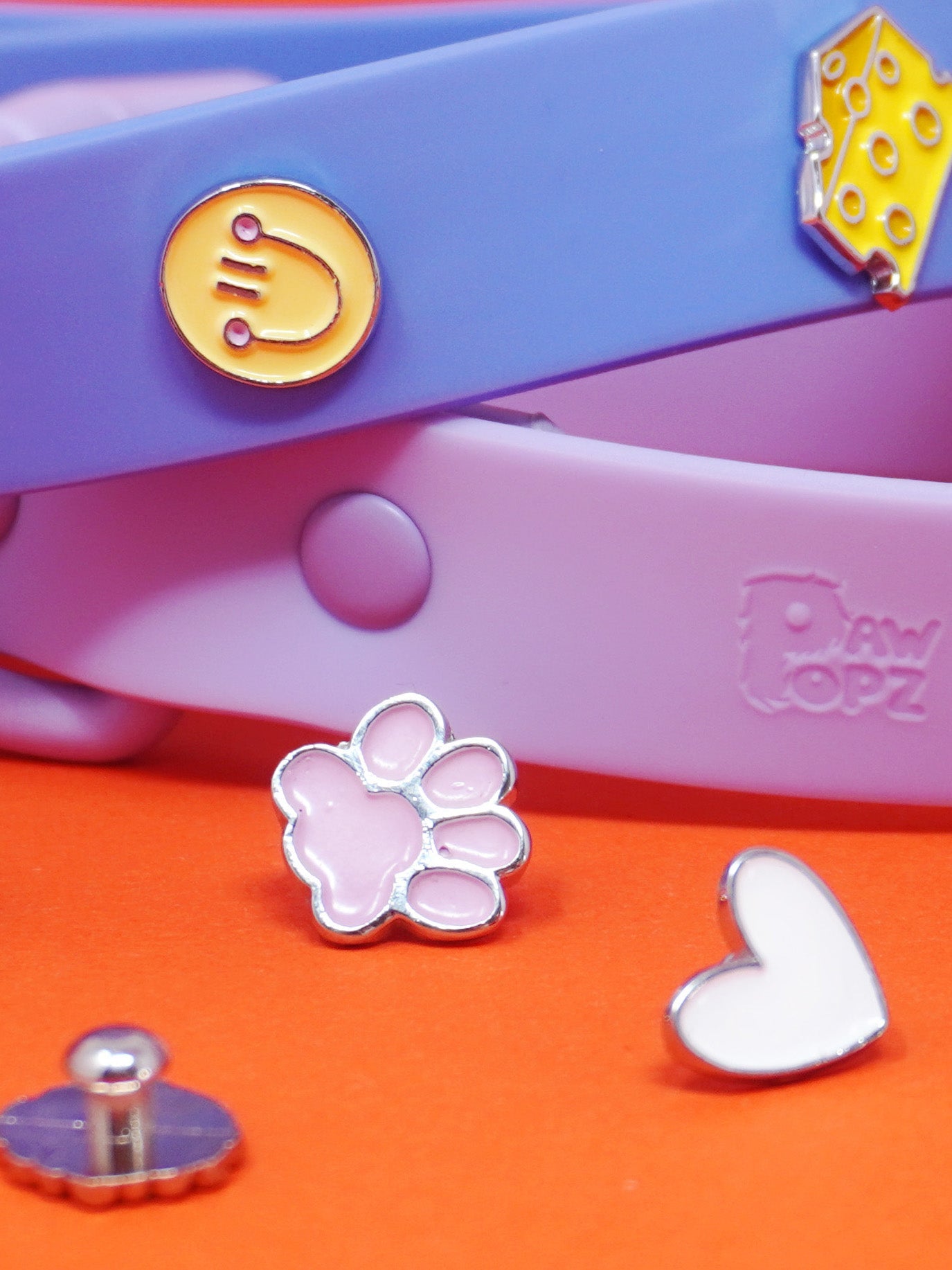 Paw Dog Collar Charm