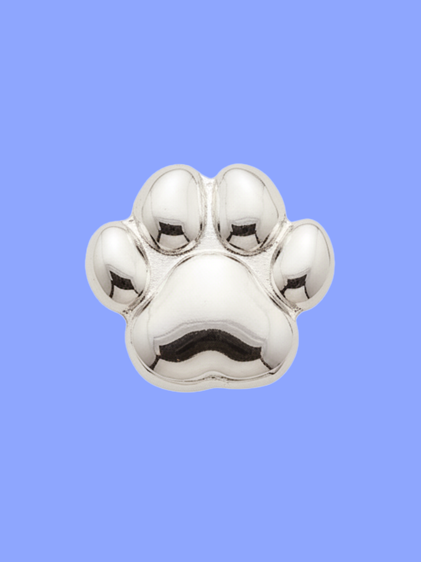 Silver Paw Dog Collar Charm