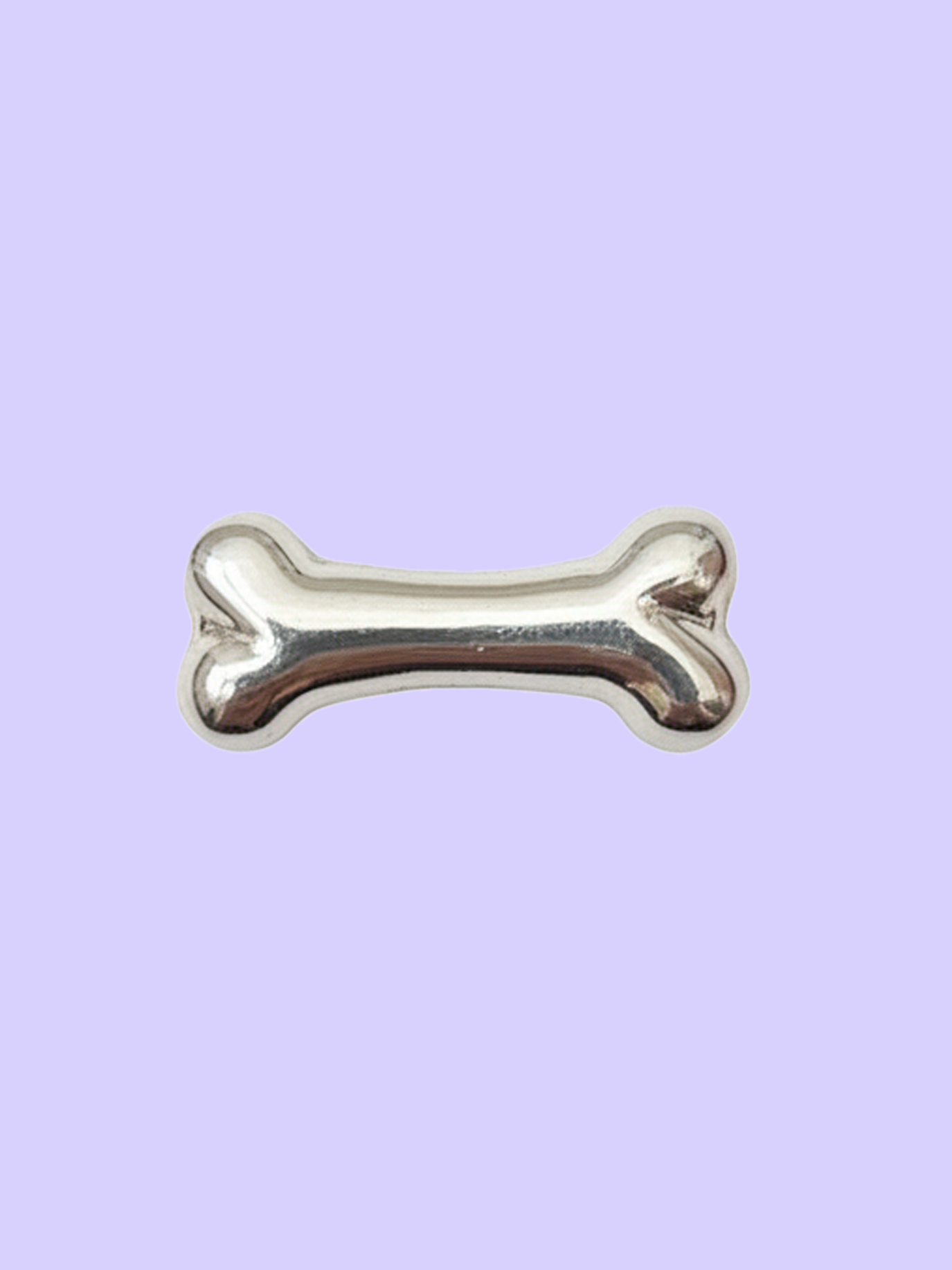 Silver Bone Dog Collar Charm