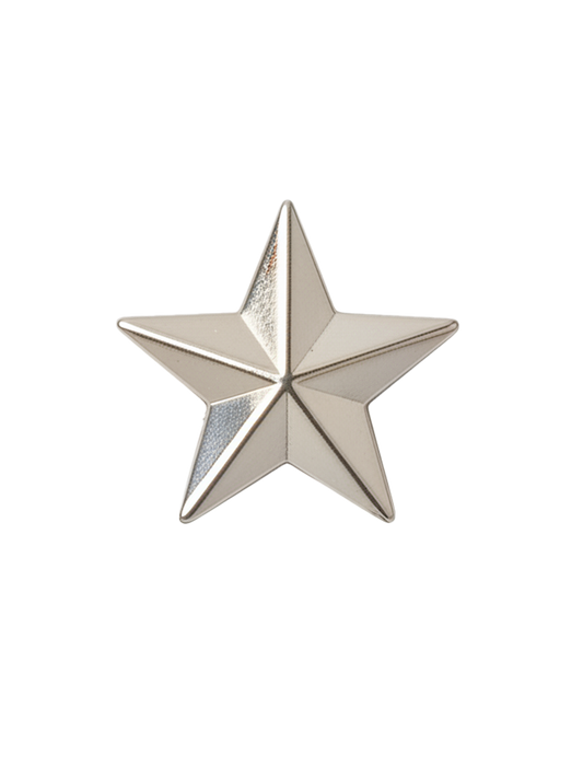 Silver Star Dog Collar Charm