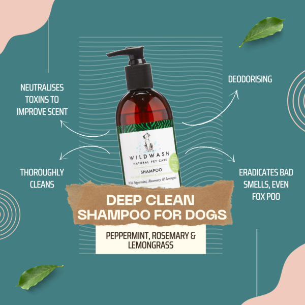 Deep Clean Shampoo for Dogs 300ml & Nourishing Conditioner Bundle
