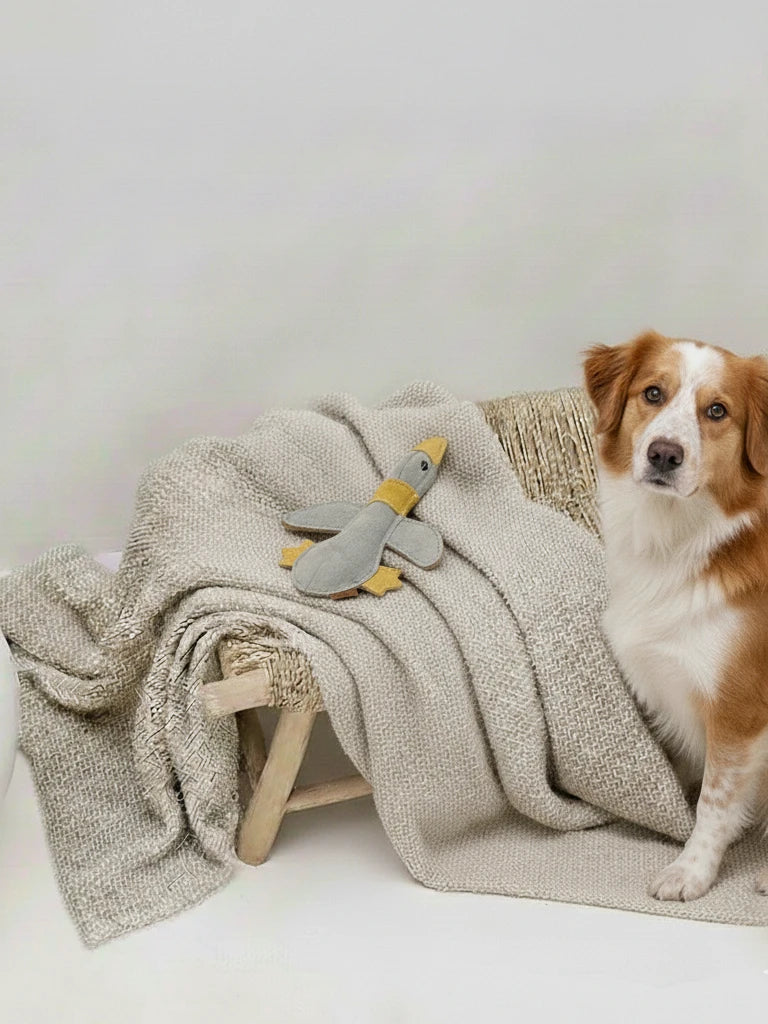 BUDDY. Leather Dog Toy "Large Duck" - natural dog toy available online from BUDDY. dog accessories